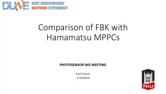 Comparison of FBK with   Hamamatsu MPPCs     PHOTOSENSOR  WG  MEETING