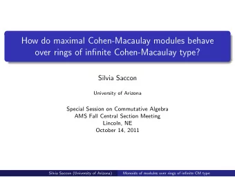 How do maximal Cohen-Macaulay modules behave  over rings of infinite Cohen-Macaulay type?  Silvia