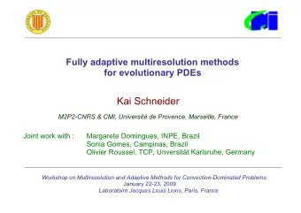 Kai Schneider M 2P2 -CNRS &amp; CMI, Universit de Provence, Marseille, France  Joint work with :