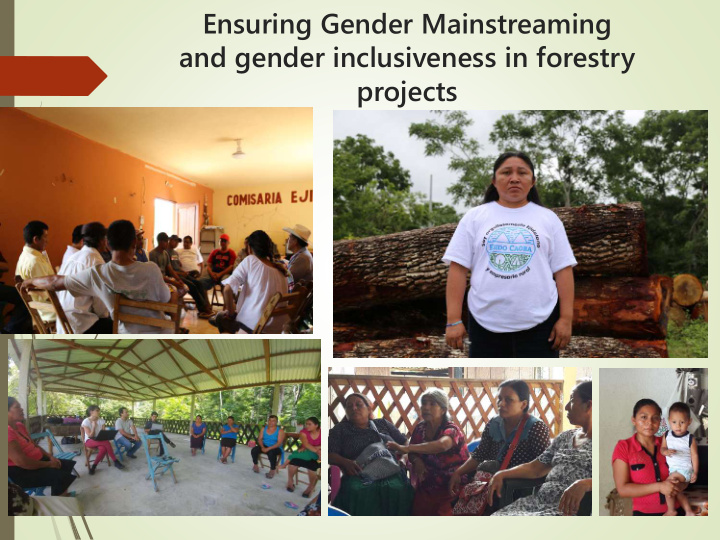 ensuring gender mainstreaming and gender inclusiveness in