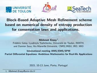 Block-Based Adaptive Mesh Refinement scheme  based on numerical density of entropy production  for