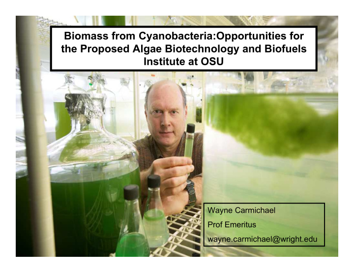 biomass from cyanobacteria opportunities for the proposed