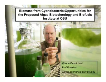 Biomass from Cyanobacteria:Opportunities for  the Proposed Algae Biotechnology and Biofuels