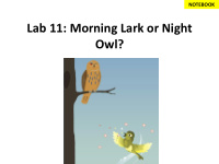 lab 11 morning lark or night owl circadian clock