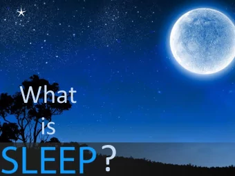 ?  Sleep is ancient!  The daylight cycle was established before life  began on earth.  Life
