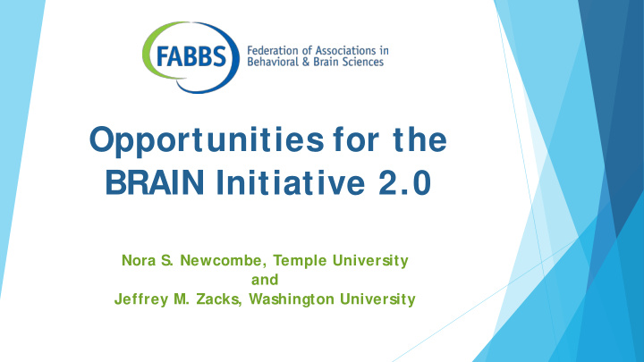 opportunities for the brain initiative 2 0