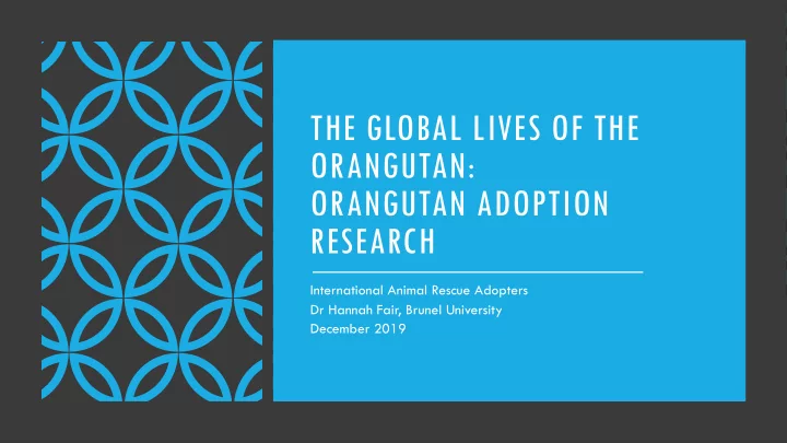 the global lives of the orangutan orangutan adoption