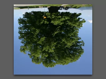 Trees  a unique path from root to every element  root  (no parent)  A  edge  node  B  C  D  E