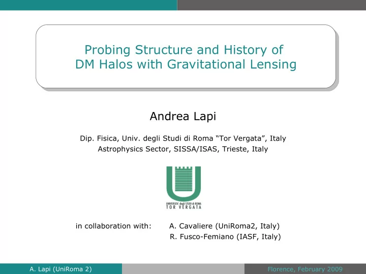 probing structure and history of dm halos with