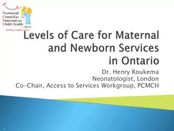 Dr. Henry Roukema  Neonatologist, London  Co-Chair, Access to Services Workgroup, PCMCH  1