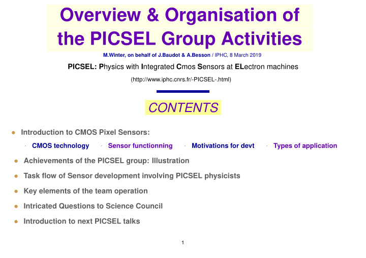 overview organisation of the picsel group activities