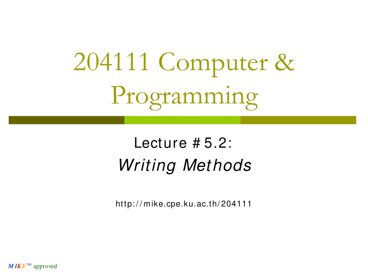 204111 computer programming