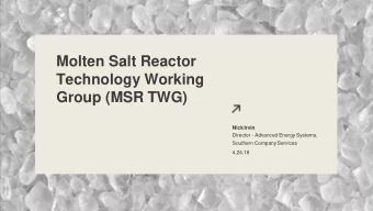 Group (MSR TWG)  Nick Irvin  Director - Advanced Energy Systems,  Southern Company Services