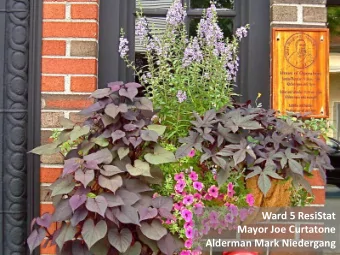 Ward 5 ResiStat  Mayor Joe Curtatone  Alderman Mark Niedergang  Where Can I Learn More?