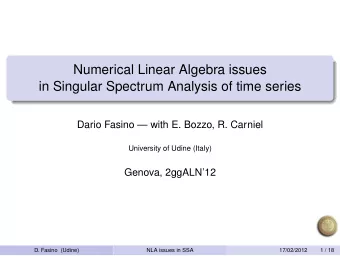 Numerical Linear Algebra issues  in Singular Spectrum Analysis of time series  Dario Fasino