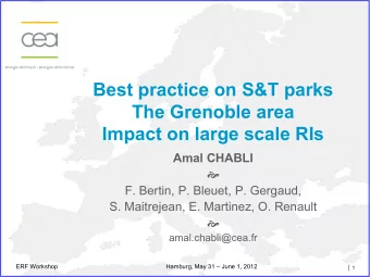 Best practice on S&amp;T parks  The Grenoble area  Impact on large scale RIs  Amal CHABLI  2007