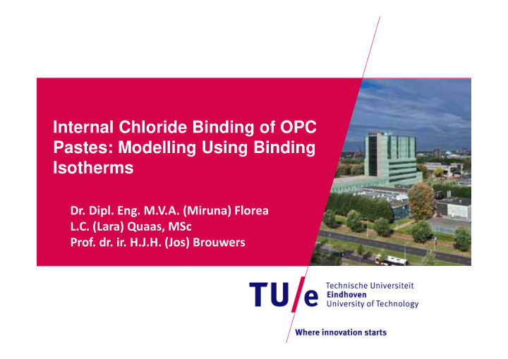 internal chloride binding of opc pastes modelling using