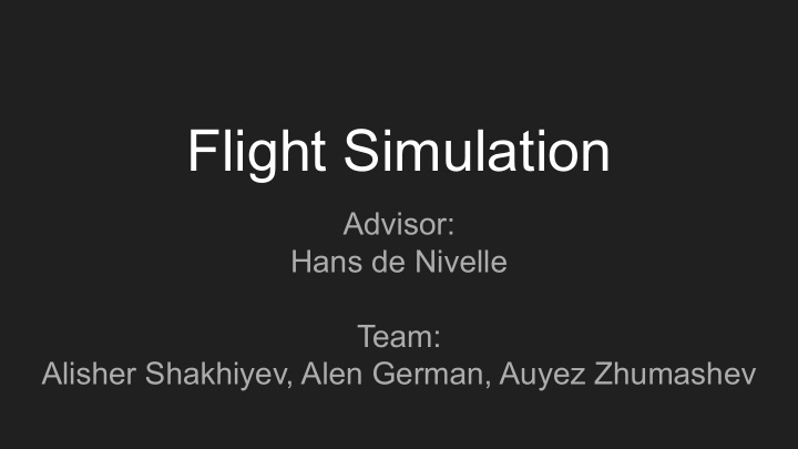 flight simulation