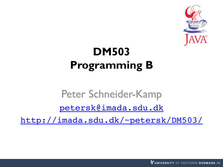 dm503 programming b peter schneider kamp