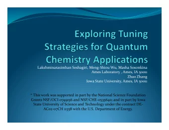 LakshminarasimhanSeshagiri,MengShiouWu,MashaSosonkina