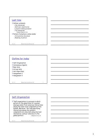 1  Self-Organization  Pattern  A particular, organized arrangement of objects  in space or