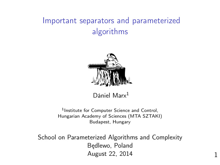 important separators and parameterized algorithms