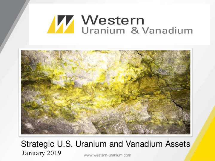 strategic u s uranium and vanadium assets