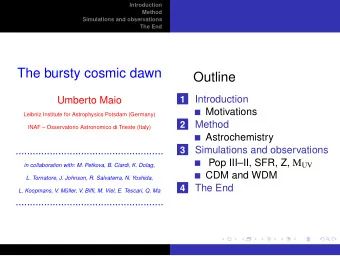 The bursty cosmic dawn  Outline  1  Introduction  Umberto Maio  Motivations  Leibniz Institute for