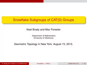 Snowflake Subgroups of CAT(0) Groups  Noel Brady and Max Forester  Department of Mathematics
