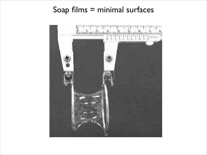 soap films minimal surfaces goldstein lab cambridge