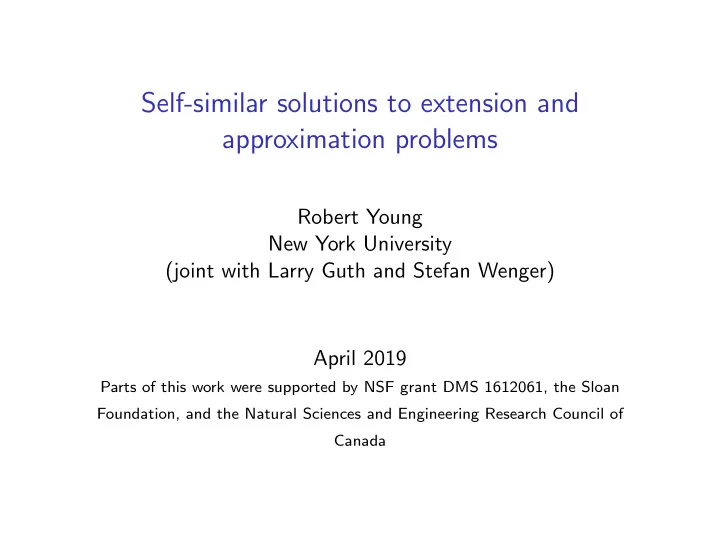 self similar solutions to extension and approximation
