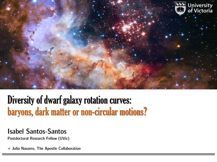 baryons dark matter or non circular motions