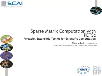 Sparse Matrix Computation with  PETSc Portable, Extensible Toolkit for