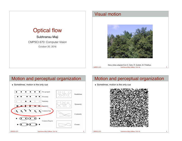 optical flow