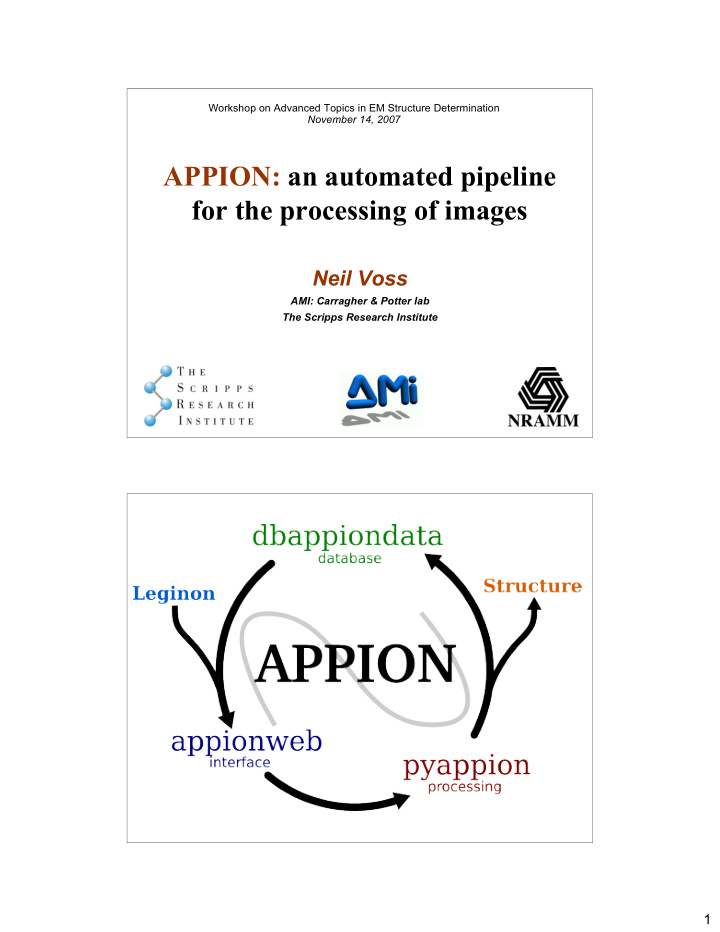 appion an automated pipeline for the processing of images