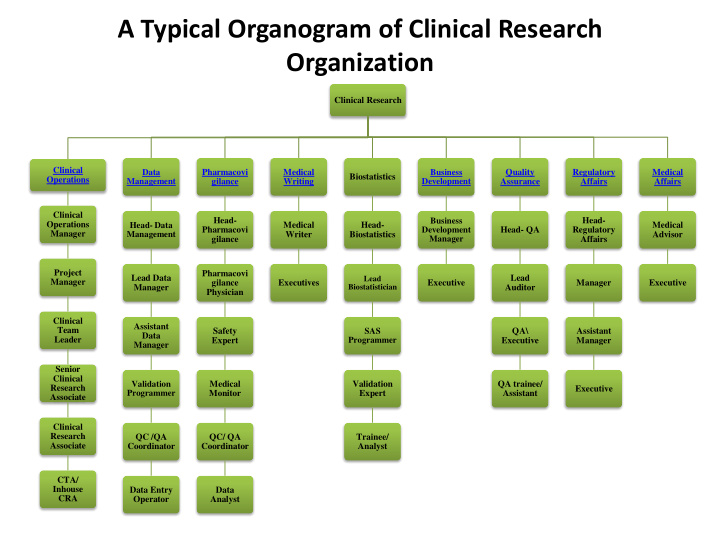 a typical organogram of clinical research organization