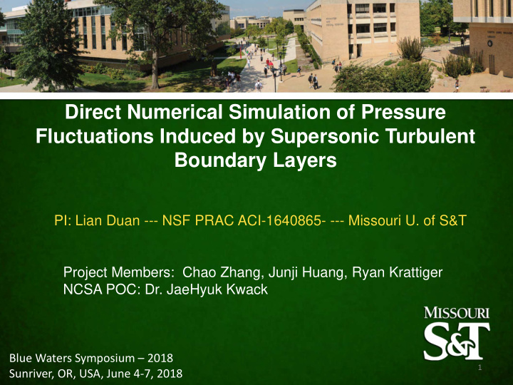 direct numerical simulation of pressure fluctuations