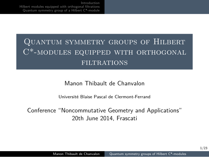 quantum symmetry groups of hilbert c modules equipped