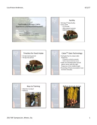 Facility    96  Calan TM Gate  facility    Feed  Intake  in  Brangus