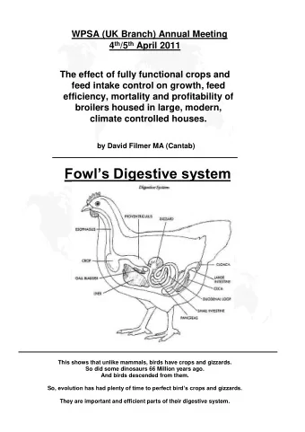 Fowls Digestive system  This shows that unlike mammals, birds have crops and gizzards.  So did
