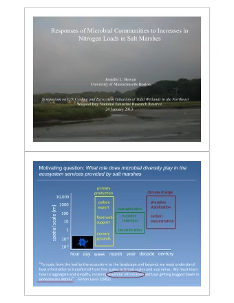 Responses of Microbial Communities to Increases in  Nitrogen Loads in Salt Marshes  Jennifer L.