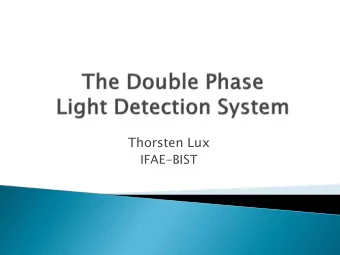 Thorsten Lux  IFAE-BIST  Concept of the DP TPC  Baseline Choice: PMTs  311 Prototype