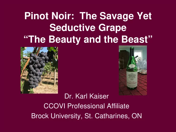 pinot noir the savage yet seductive grape the beauty and