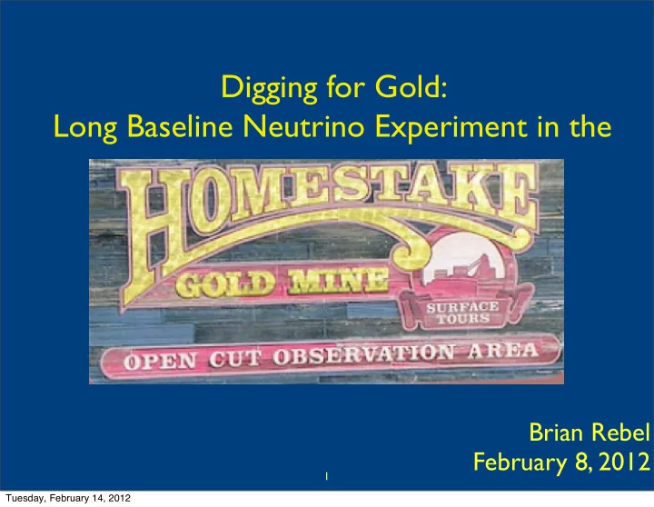 digging for gold long baseline neutrino experiment in the