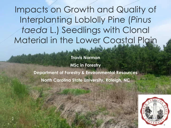 material in the lower coastal plain