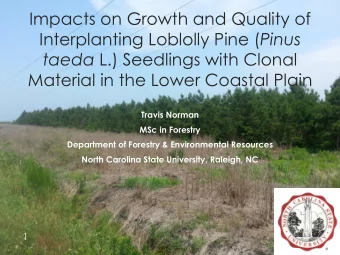 Material in the Lower Coastal Plain  Travis Norman  MSc in Forestry  Department of Forestry &amp;