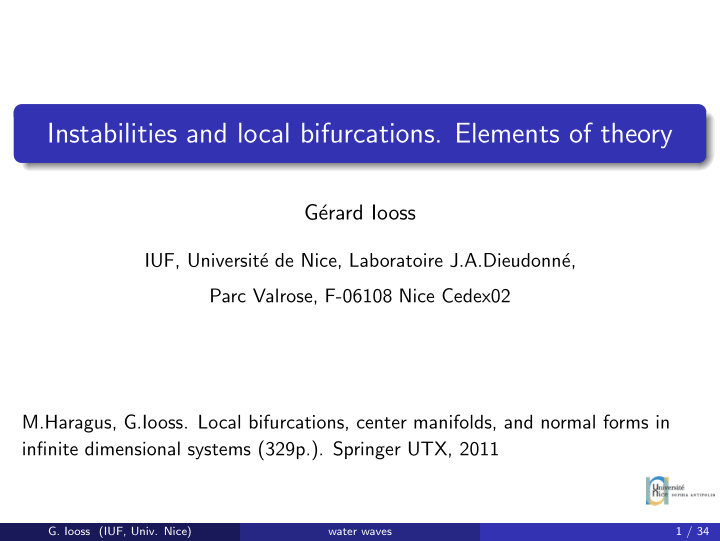 instabilities and local bifurcations elements of theory