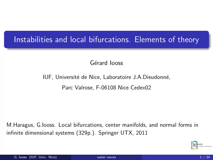 instabilities and local bifurcations elements of theory