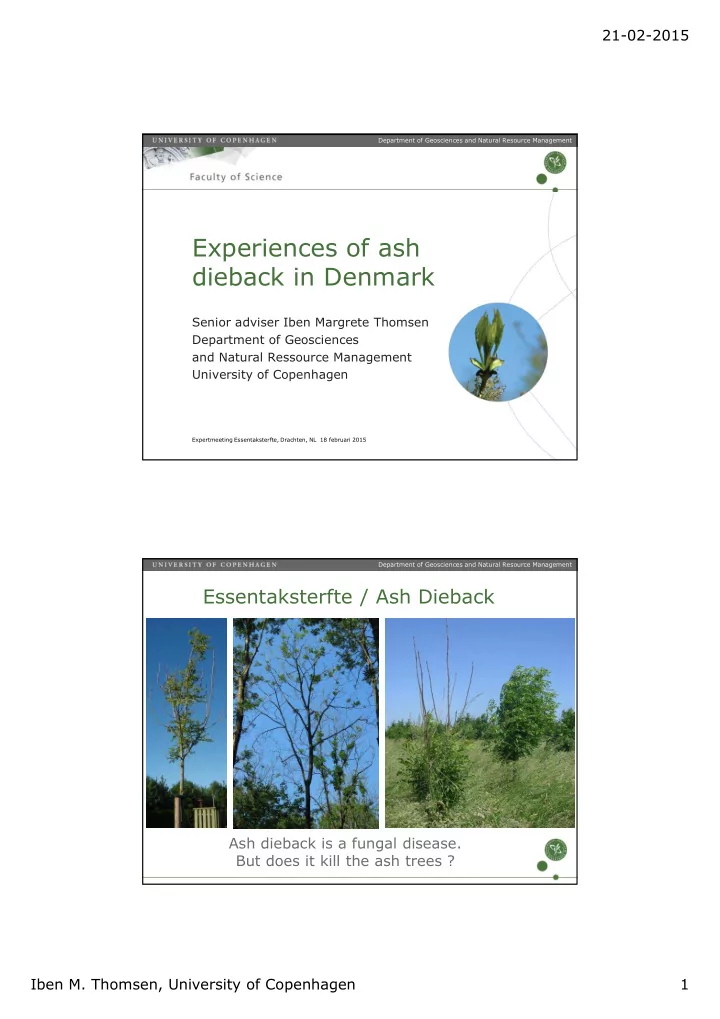 experiences of ash dieback in denmark