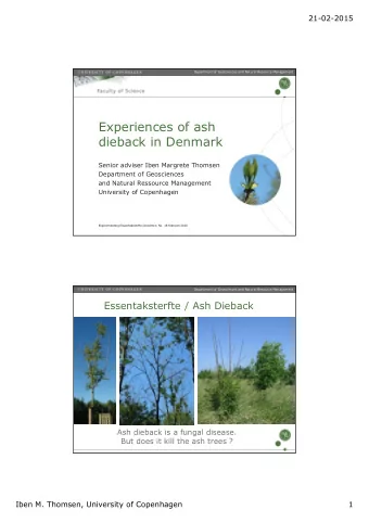 Experiences of ash  dieback in Denmark  Senior adviser Iben Margrete Thomsen  Department of